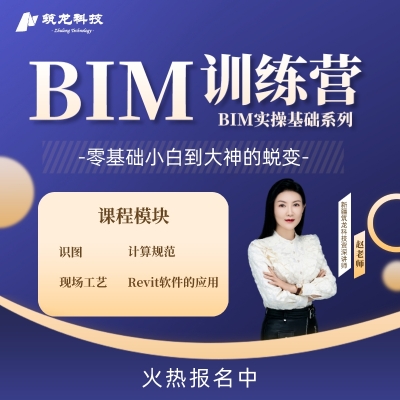 BIM实战精品班